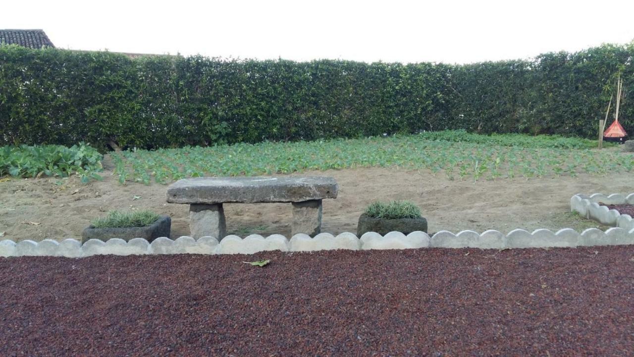 リベイラ・グランデ Casas Da Quintaヴィラ エクステリア 写真