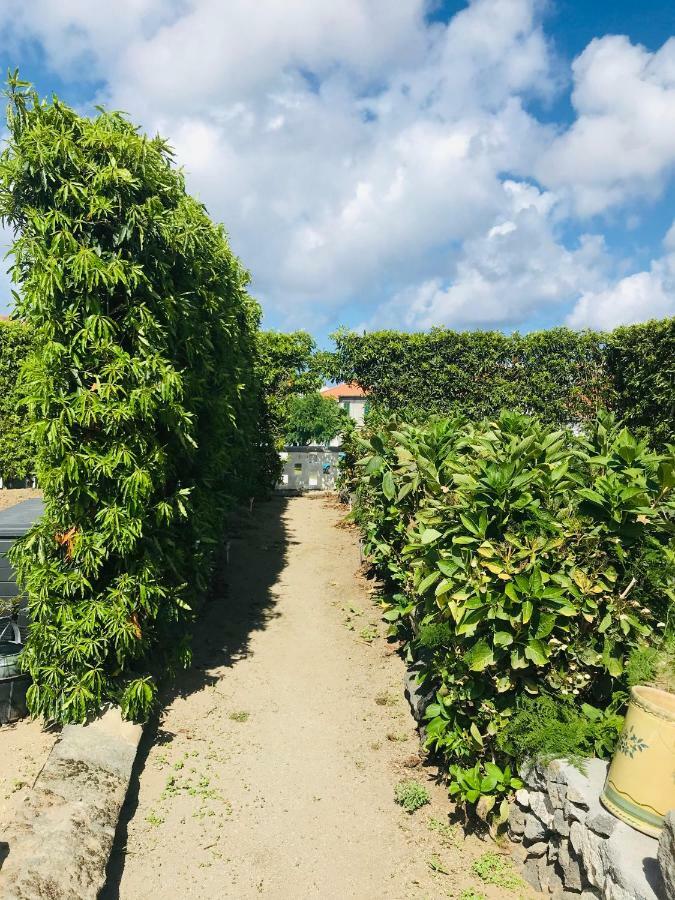 リベイラ・グランデ Casas Da Quintaヴィラ エクステリア 写真